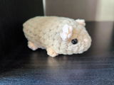 Luc review photo