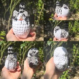 Timothée review photo