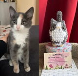 Anonyme review photo