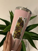 Alejandra review photo
