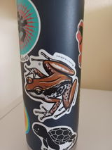 Edwin Garcia review photo