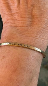 Ismael review photo