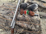 Rick review photo