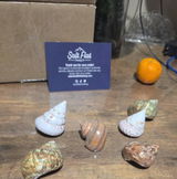 Lisa M review photo