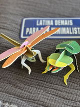 Anónimo review photo