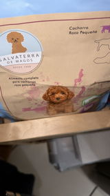 Elena Seoane lombardia review photo