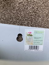pauline simmons.p@sky.com review photo