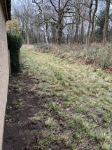 Peter Golding review photo