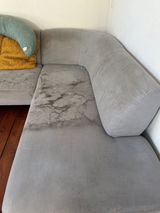 L.P. review photo