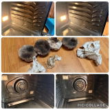 Bart review photo