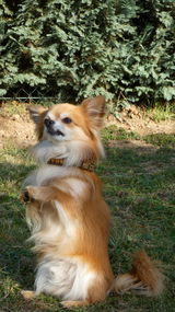 Natalie W. review photo