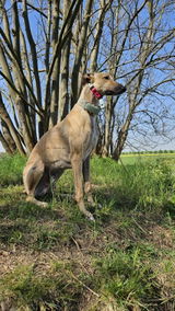 Berit S. review photo