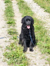 Dorothee S. review photo