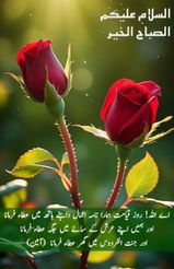 Umar Shah Umar shah review photo
