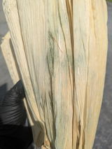 MATEO BLOCK review photo