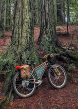 JD review photo