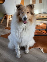Cassie und Leni review photo