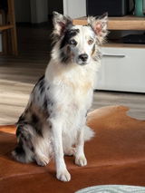 Cassie und Leni review photo