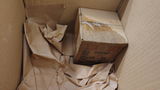 CJ review photo