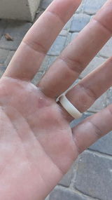 Amazon Customer review photo