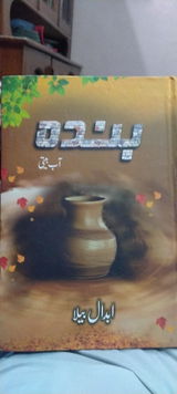 Tauqeer Naseer review photo
