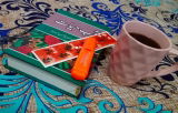 Shakila Naz review photo