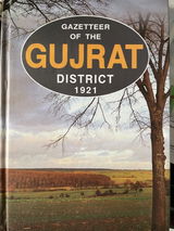 Imran Ahmed review photo