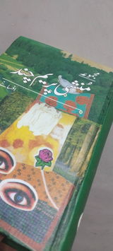 Syeda Faiza review photo