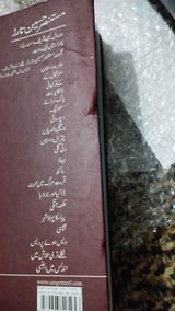 Mashal Fatima review photo