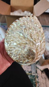 Etsy customer review photo