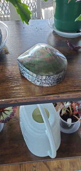 Etsy customer review photo