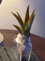 Etsy customer review photo