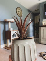 Etsy customer review photo