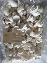 NM review photo