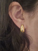 PShee review photo