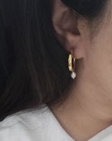 PShee review photo