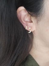 PShee review photo