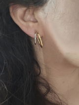 PShee review photo