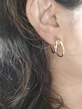 PShee review photo