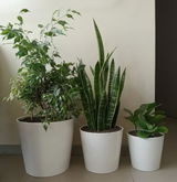 Athina Loreto review photo