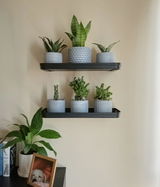 Athina Loreto review photo
