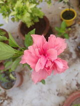 Rakesh Ranjan review photo