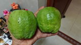 Divyashree H B review photo
