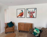 Lesley Green review photo