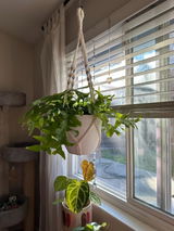 Etsy customer review photo
