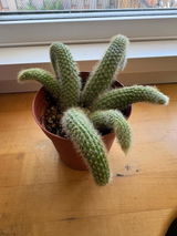 Craft Life review photo
