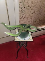 Stephanie Gift review photo