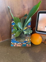 Etsy customer review photo