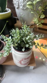 Etsy customer review photo