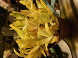 Mary Matulaitis review photo